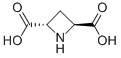 (+/-)-TRANS-AZETIDINE-2,4-DICARBOXYLIC ACID CAS#: 161596-62-9
