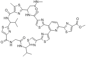 amythiamicin D CAS#: 156620-46-1