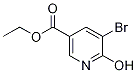 ethyl 5-broMo-6-hydroxynicotinate CAS#: 169773-94-8