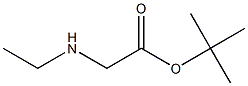 tert-Butyl 2-(ethylaMino)acetate CAS#: 172317-17-8