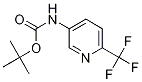 tert-butyl (6-(trifluoromethyl)pyridin-3-yl)carbamate CAS#: 325457-86-1