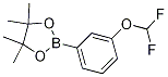 2-(3-(difluoroMethoxy)phenyl)-4,4,5,5-tetraMethyl-1,3,2-dioxaborolane CAS#: 1035690-56-2