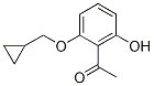 1-[2-(Cyclopropylmethoxy)-6-hydroxyphenyl]ethanone CAS#: 405239-70-5