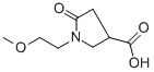 1-(2-METHOXY-ETHYL)-5-OXO-PYRROLIDINE-3-CARBOXYLIC ACID CAS#: 407634-05-3