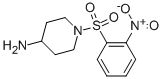 1-(2-NITRO-BENZENESULFONYL)-PIPERIDIN-4-YLAMINE CAS#: 468720-15-2