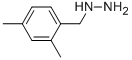 1-(2,4-dimethylbenzyl)hydrazine CAS#: 51421-20-6