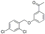 1-(3-[(2,4-DICHLOROBENZYL)OXY]PHENYL)-1-ETHANONE CAS#: 400878-28-6