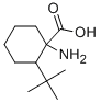 1-AMINO-2-TERT-BUTYLCYCLOHEXANECARBOXYLIC ACID CAS#: 412924-89-1