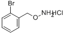 1-[(AMMONIOOXY)METHYL]-2-BROMOBENZENE CHLORIDE CAS#: 51572-91-9