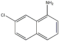 1-Amino-7-chloronaphthalene CAS#: 50987-58-1