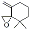 1-Methylene-5,5-dimethyl-7-oxaspiro[5.2]octane CAS#: 54345-56-1