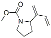 1-Pyrrolidinecarboxylic acid, 2-(1-methylene-2-propenyl)-, methyl ester (9CI) CAS#: 475106-82-2