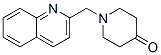1-((Quinolin-2-yl)methyl)piperidin-4-one CAS#: 571147-27-8