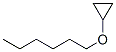 1-cyclopropyloxyhexane CAS#: 5462-72-6