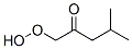 1-hydroperoxy-4-methylpentan-2-one CAS#: 59472-06-9
