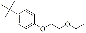 1-tert-Butyl-4-(2-ethoxyethoxy)benzene CAS#: 54889-97-3