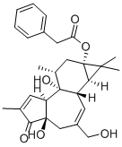 12-DEOXYPHORBOL 13-PHENYLACETATE CAS#: 58821-98-0