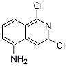 1,3-Dichloroisoquinolin-5-aMine CAS#: 58142-96-4