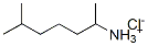 (1,5-dimethylhexyl)ammonium chloride CAS#: 5984-59-8