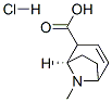 (1R)-8-methyl-8-azabicyclo[3.2.1]oct-3-ene-2-carboxylic acid hydrochloride CAS#: 5937-74-6