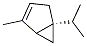 (1S)-(+)-thuj-3-ene CAS#: 563-34-8