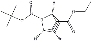 (1S,4R)-7-tert-butyl 2-ethyl 3-bromo-7-azabicyclo[2.2.1]hepta-2,5-diene-2,7-dicarboxylate CAS#: 502506-71-0