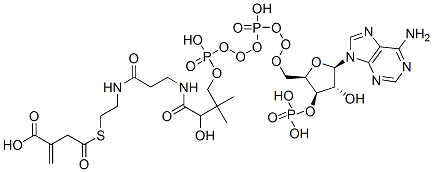2-[2-[3-[[4-[[[(2R,3R,4R,5R)-5-(6-aminopurin-9-yl)-4-hydroxy-3-phosphonooxy-oxolan-2-yl]methoxy-hydroxy-phosphoryl]oxy-hydroxy-phosphoryl]oxy-2-hydroxy-3,3-dimethyl-butanoyl]amino]propanoylamino]ethylsulfanylcarbonylmethyl]prop-2-enoic acid CAS#: 6008-93-1