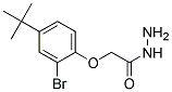 2-[2-BROMO-4-(TERT-BUTYL)PHENOXY]ACETOHYDRAZIDE CAS#: 52570-06-6