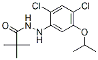 2'-[2,4-dichloro-5-(1-methylethoxy)phenyl]-2,2-dimethylpropionohydrazide CAS#: 51167-18-1