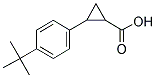 2-(4-TERT-BUTYL-PHENYL)-CYCLOPROPANECARBOXYLIC ACID CAS#: 445029-32-3
