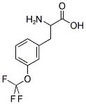 2-AMINO-3-(3-TRIFLUOROMETHOXY-PHENYL)-PROPIONIC ACID CAS#: 439587-14-1