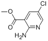2-AMINO-5-CHLORO-NICOTINIC ACID METHYL ESTER CAS#: 50735-33-6