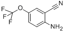 2-AMINO-5-(TRIFLUOROMETHOXY)BENZONITRILE CAS#: 549488-77-9