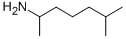 2-AMINO-6-METHYLHEPTANE CAS#: 543-82-8