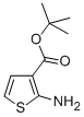 2-AMINOTHIOPHENE-3-CARBOXYLIC ACID T-BUTYL ESTER CAS#: 59739-05-8
