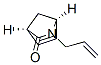 2-Azabicyclo[2.2.1]hept-5-en-3-one,2-(2-propenyl)-,(1S,4R)-(9CI) CAS#: 406218-20-0
