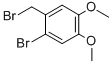 2-Bromo-4,5-Dimethoxybenzyl Bromide CAS#: 53207-00-4
