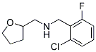 (2-CHLORO-6-FLUORO-BENZYL)-(TETRAHYDRO-FURAN-2-YL-METHYL)-AMINE CAS#: 510723-77-0