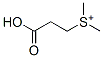 2-Carboxyethyldimethylsulfonium CAS#: 44743-29-5