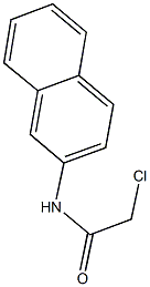 2-Chloro-N-naphthalen-2-yl-acetamide CAS#: 5453-65-6