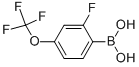 2-FLUORO-4-TRIFLUOROMETHOXYBENZENEBORONIC ACID CAS#: 503309-10-2