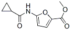 2-Furancarboxylicacid,5-[(cyclopropylcarbonyl)amino]-,methylester(9CI) CAS#: 477857-61-7