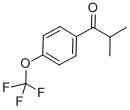 2-Methyl-1[4-(trifluoromethoxy)phenyl] propan-1-one CAS#: 56425-84-4