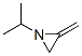 2-Methylene-1-(1-methylethyl)aziridine CAS#: 55268-35-4