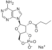 2'-O-MB-CAMP SODIUM SALT CAS#: 55443-13-5
