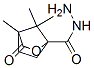 2-Oxabicyclo[2.2.1]heptane-1-carboxylicacid,4,7,7-trimethyl-3-oxo-,hydrazide(9CI) CAS#: 539858-02-1