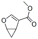 2-Oxabicyclo[3.1.0]hex-3-ene-4-carboxylicacid,methylester(9CI) CAS#: 56666-81-0