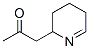 2-Propanone, 1-(2,3,4,5-tetrahydro-2-pyridinyl)- (9CI) CAS#: 45810-78-4