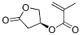 2-Propenoicacid,2-methyl-,(3S)-tetrahydro-5-oxo-3-furanylester(9CI) CAS#: 521291-57-6