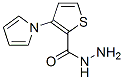 2-Thiophenecarboxylicacid,3-(1H-pyrrol-1-yl)-,hydrazide(9CI) CAS#: 478050-34-9